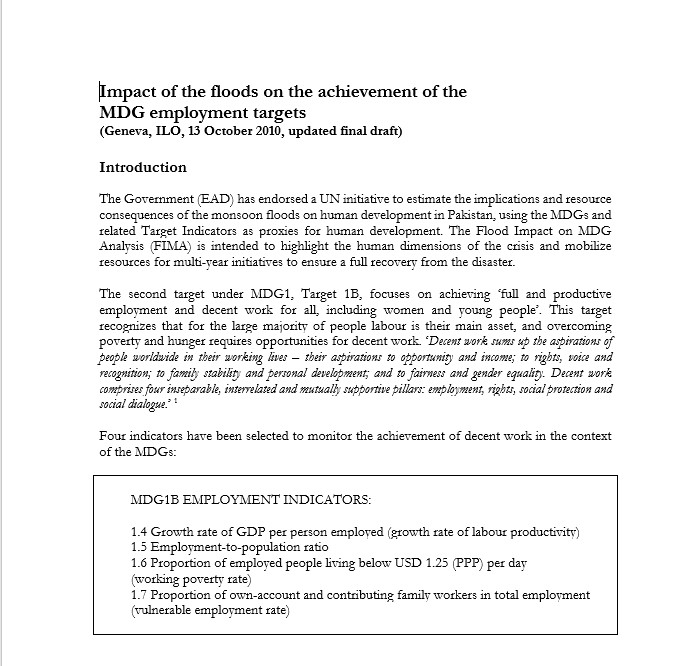 Impact of the floods on the achievement of the MDG Employment Targets