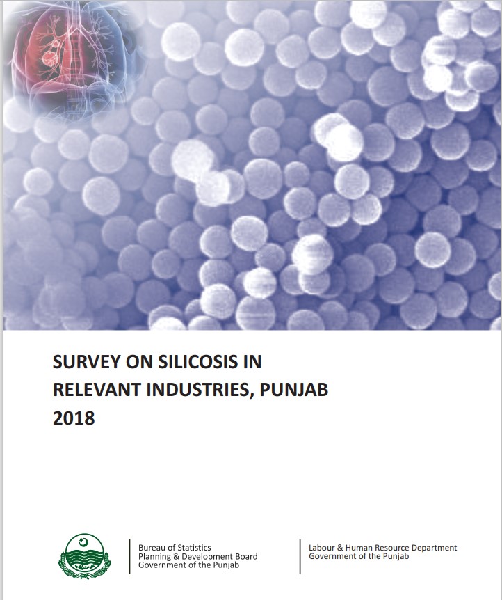 survey on silicosis in relevant industries, Punjab 2018